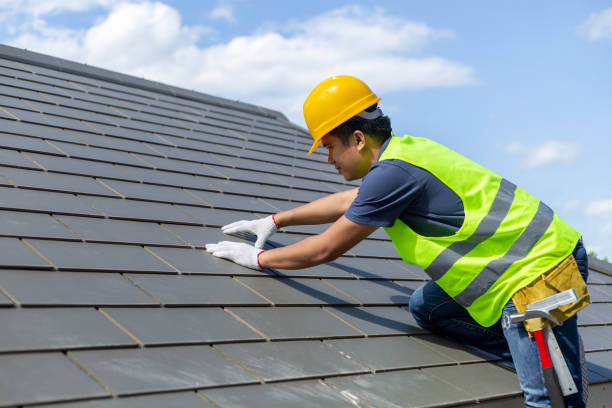 Best Roof Gutter Cleaning  in West University Place, TX