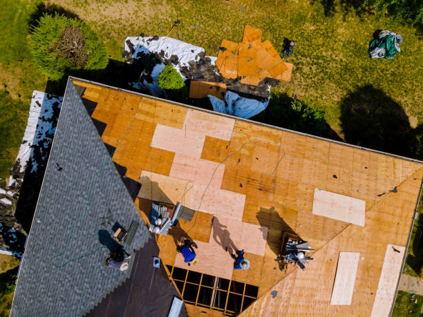 Best Roof Repair Services  in West University Place, TX