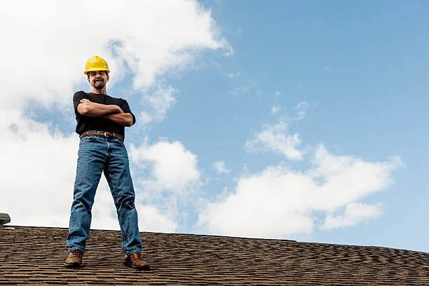 Best Roof Gutter Cleaning  in West University Place, TX